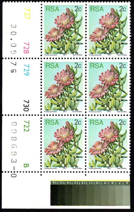 RSA 1976/09/30 3rd Definitive issue 2c Control Blocks Pane B