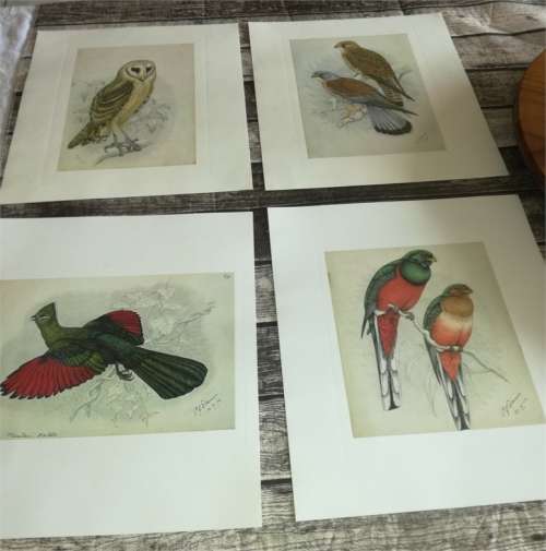 Claude Gibney Finch-Davis 1875-1920 - reproduction prints