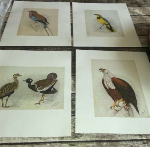 Claude Gibney Finch-Davis 1875-1920 - reproduction prints