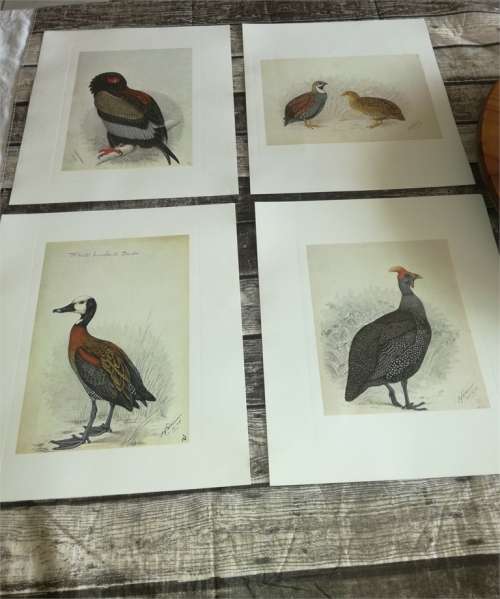 Claude Gibney Finch-Davis 1875-1920 - reproduction prints