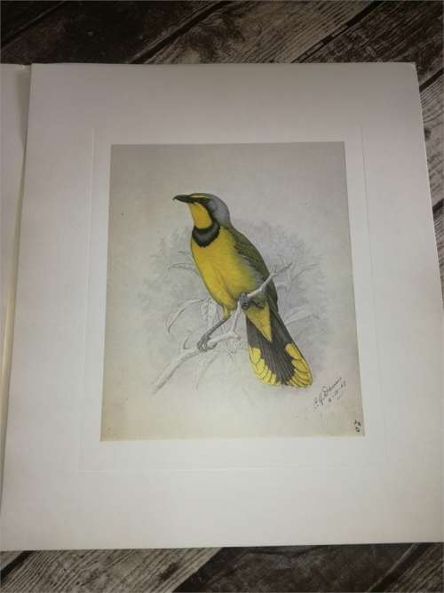 Claude Gibney Finch-Davis 1875-1920 - reproduction prints