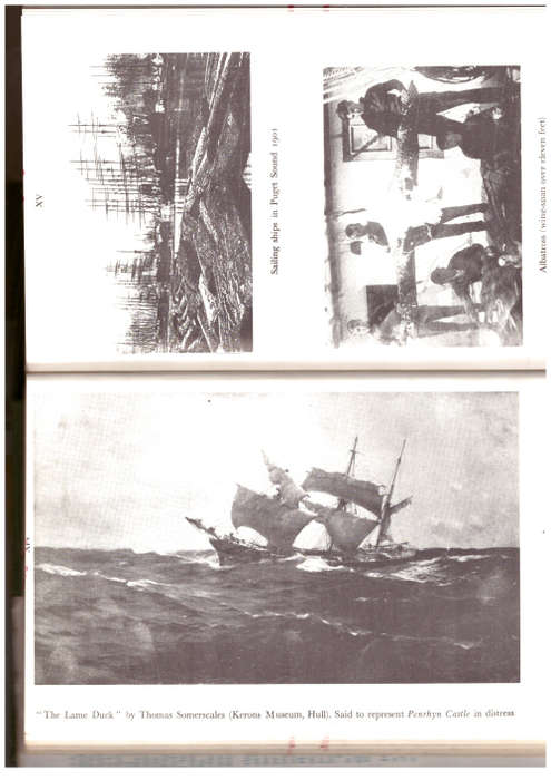 The Last of the Cape Horners