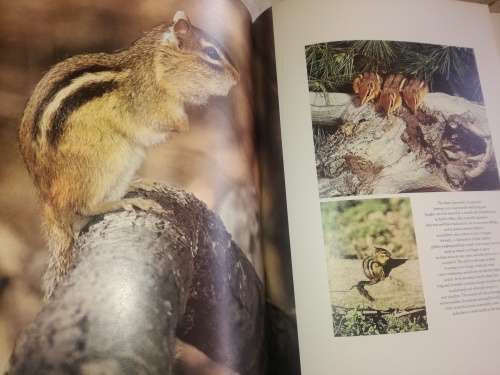 The Living World of Audubon Mammals