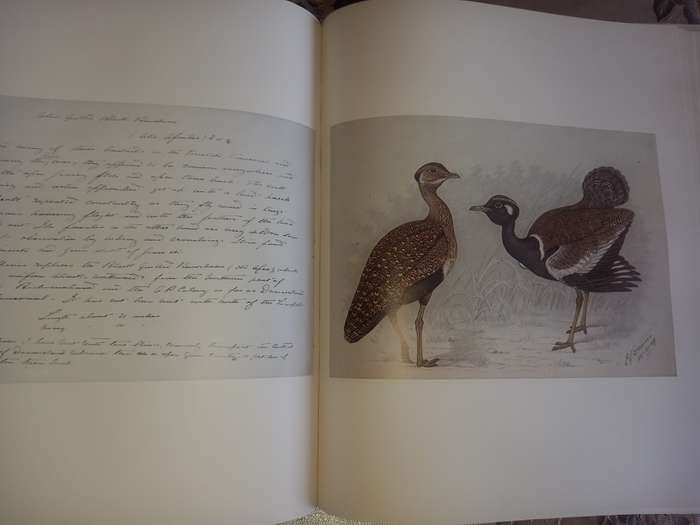 The Biography of Claude Gibney Finch-Davis 1875-1920