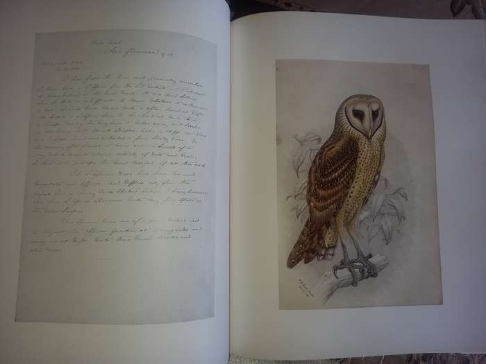 The Biography of Claude Gibney Finch-Davis 1875-1920