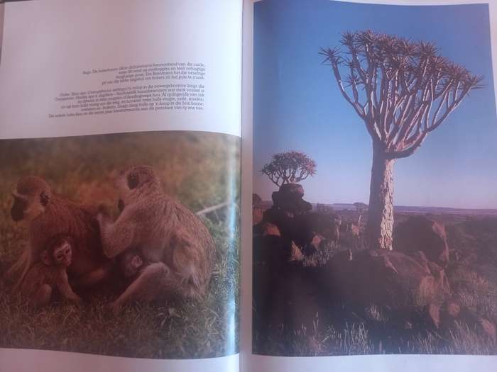 Namibia ongetemde land