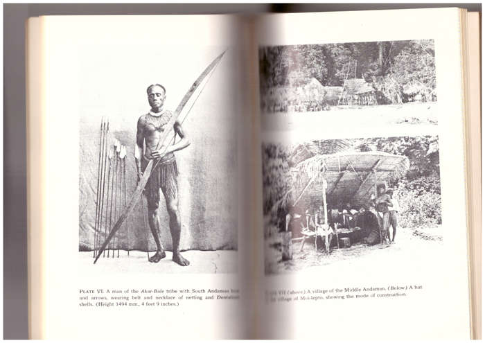 The Andaman Islanders