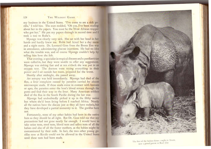 The Wildest Game - Peter Ryhiner