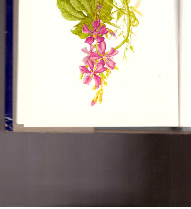 Veld & Flora, volume 1 & 2, Collectors editions