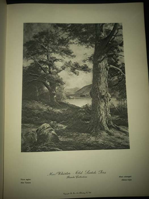 The World`s Famous Pictures (second volume) ca 1927