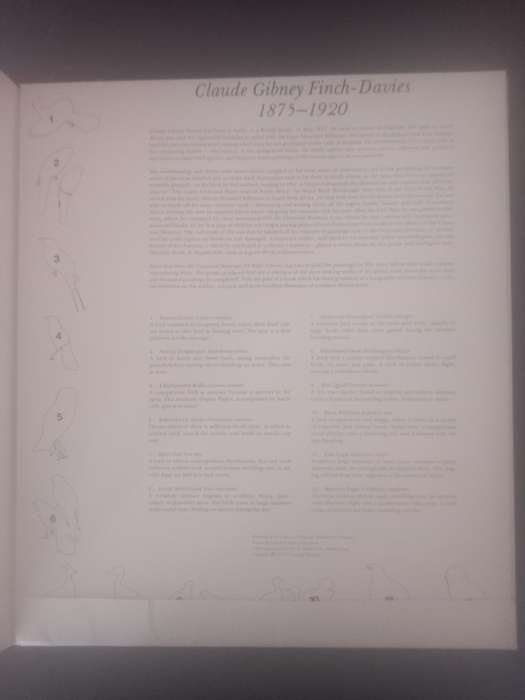 Claude Gibney Finch-Davis 1875-1920, Observer, student and highly skilled illustreerder  of SA