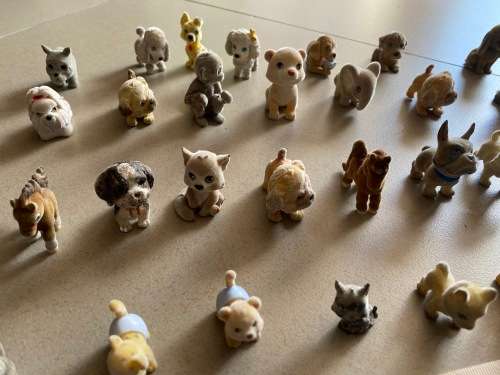 lovely large puppy in a pocket collection - cheap
