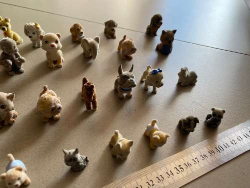 lovely large puppy in a pocket collection - cheap