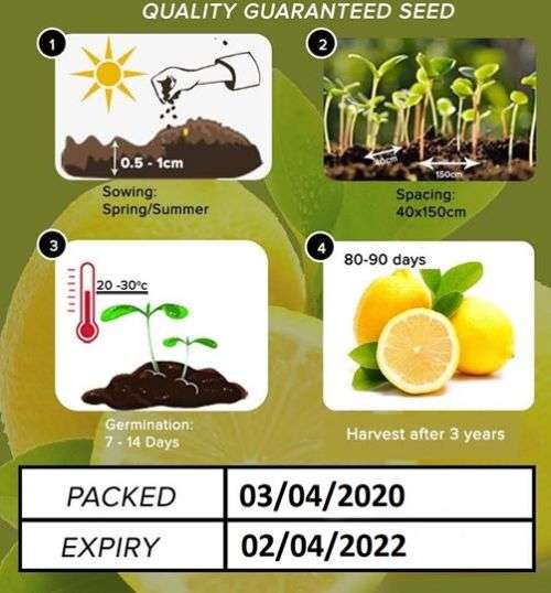 Lemon Seeds
