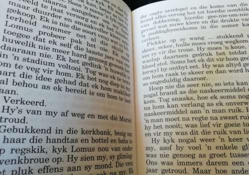 VROU MET DIE FLITSLIG en ander verhale / Louisa Du Toit (Grootdruk)