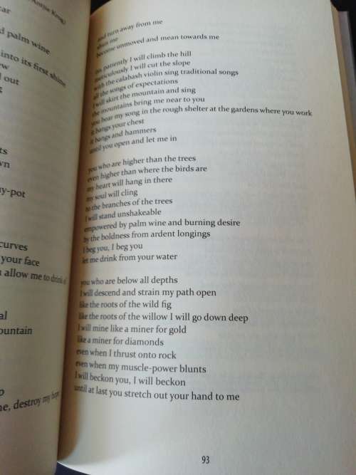 Skinned: A Selection of Translated Poems / Antjie Krog