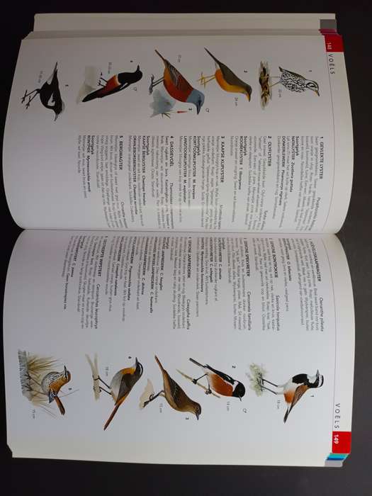 Die NATUURLEWE van SUIDER-AFRIKA / Vincent Carruthers