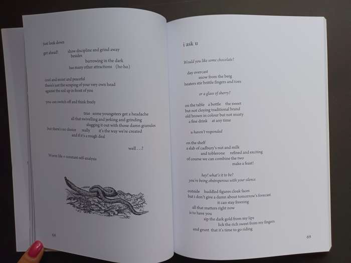 THE COLOURS OF OUR FLAG / Allan Kolski Horwitz