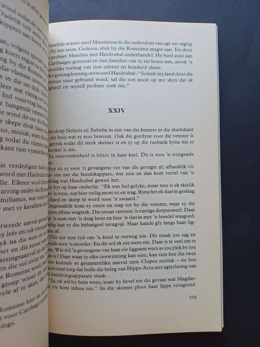 DIE VLAMMENDE STAD / Anthonie P. Roux