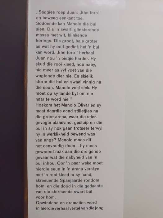 Die Seun van die Stiervegter / Maia Rodman