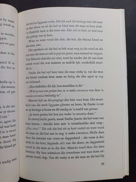 Die Seun van die Stiervegter / Maia Rodman