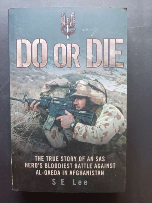 Do or Die / S E Lee