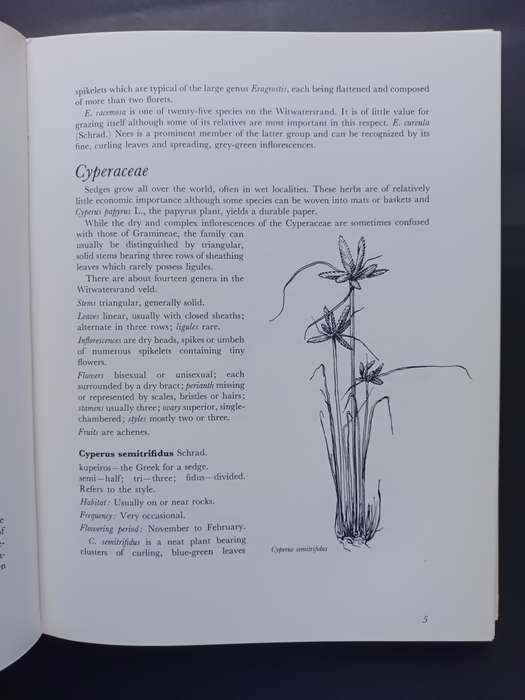 WILD FLOWERS OF THE WITWATERSRAND / ANNABELLE LUCAS AND BARBARA PIKE(Signed by Artist)