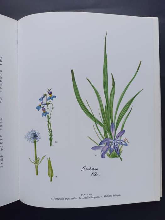 WILD FLOWERS OF THE WITWATERSRAND / ANNABELLE LUCAS AND BARBARA PIKE(Signed by Artist)