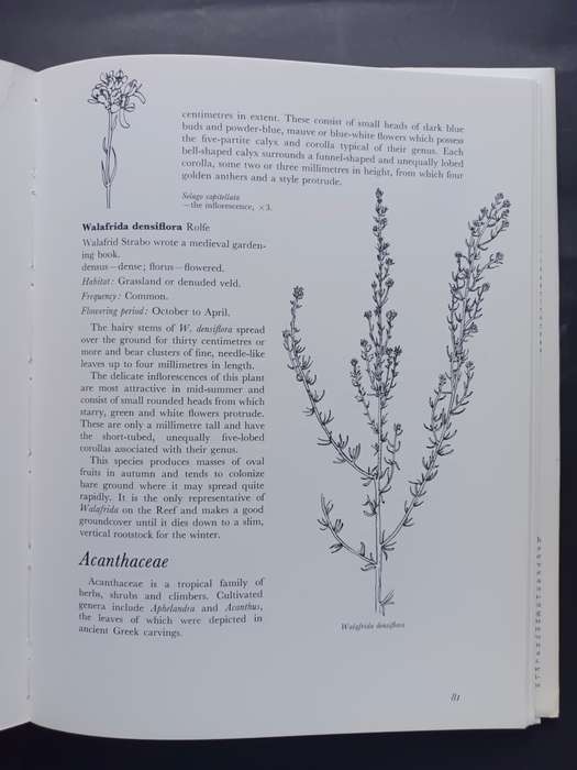 WILD FLOWERS OF THE WITWATERSRAND / ANNABELLE LUCAS AND BARBARA PIKE(Signed by Artist)