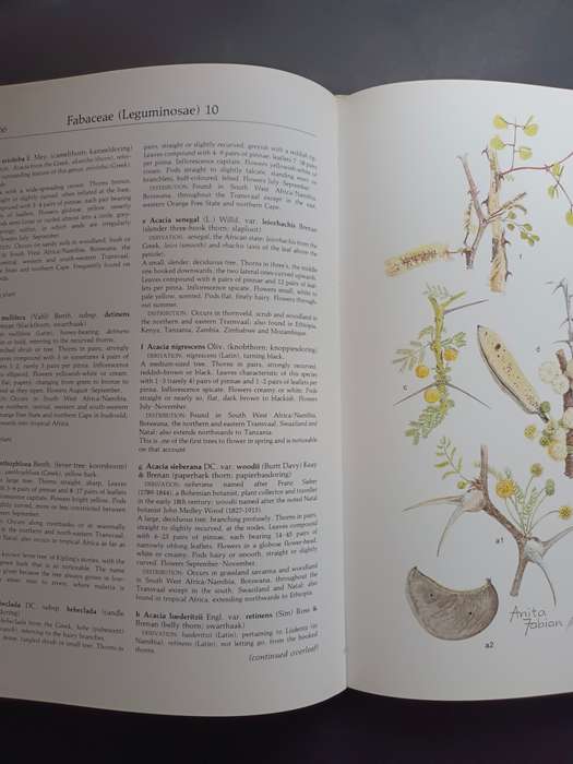 Transvaal Wild Flowers / Anita Fabian & Gerrit Germishuizen