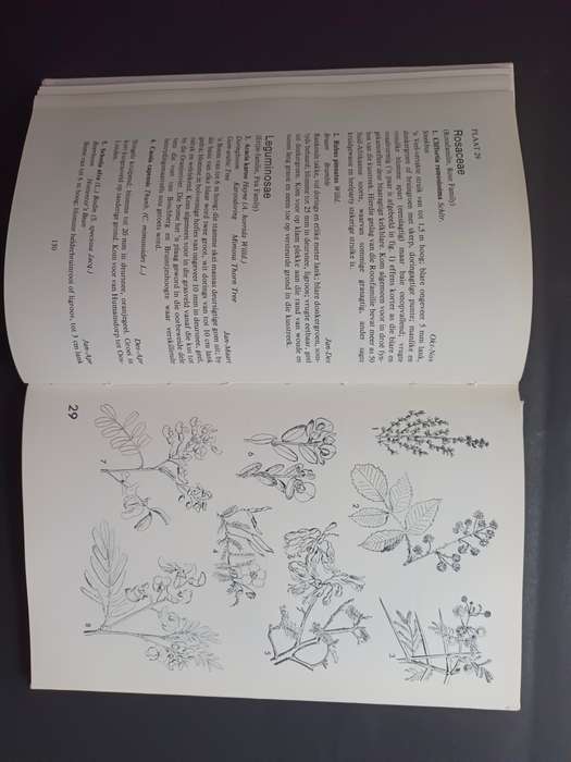 Veldblomme van Oos-Kaapland / Eily Gledhill
