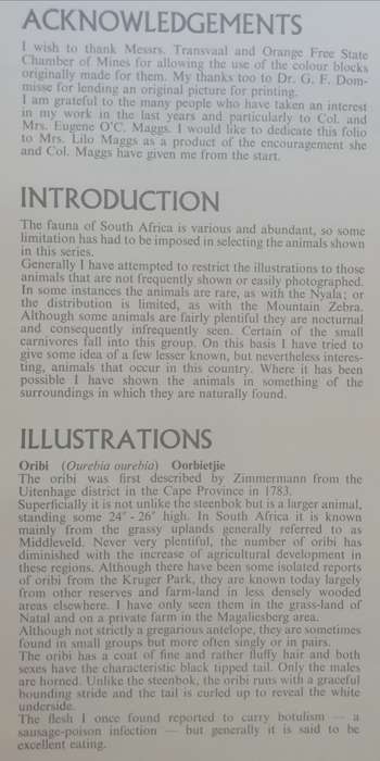 A Folio of South African Animals by Dick Findlay (Limited Edition)