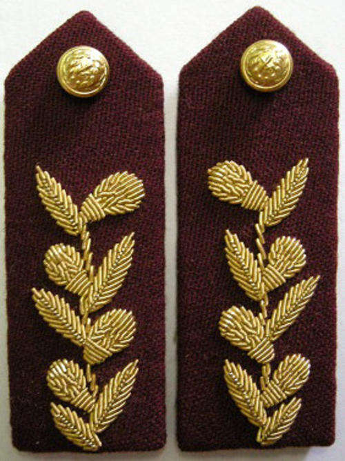 SA Medics General Officers Gorget Patch Pair Bullion Wire