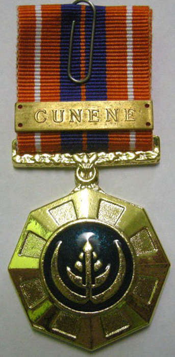 Full Size Pro Patria Medal Numbered at Back Flush Epoxy w/ Cunene Bar