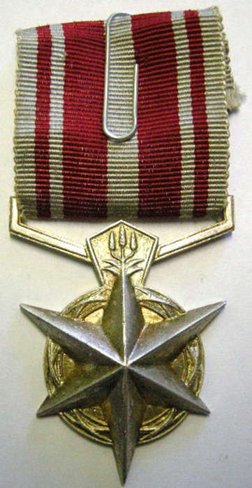 Full Size SA Police Medal for Combating Terrorism1974 Unnamed
