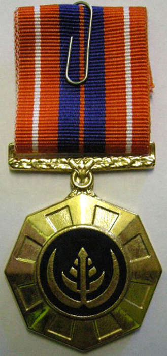 Full Size Pro Patria Medal Numbered at Back Flush Epoxy