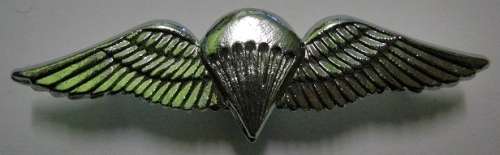 SA Parachute Basic Chrome Plated Mess Dress Wing Parabat Matthysen Vol1 Ed 2 p266 Nr31 Hollow Struck