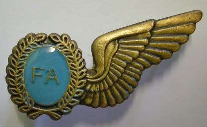 SAAF Flight Attendant Mess Dress Half Wing Antique Bronze