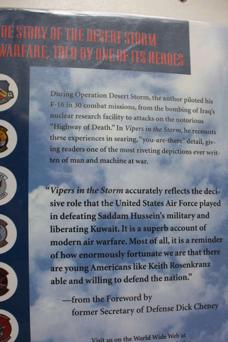 Vipers in the Storm, The Diary of a Gulf War Fighter Pilot by Keith Rosenkranz