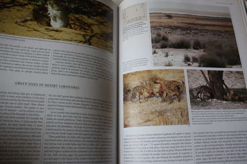 The Living Deserts of Southern Africa by Barry Lovegrove