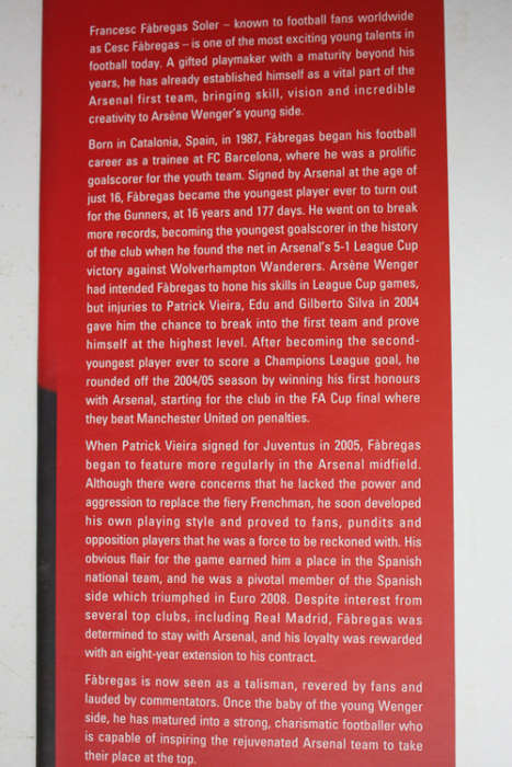 Young Gun: The Biography of Cesc Fabregas by Tom Oldfield