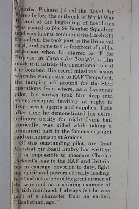 Wings Of Night by Alexander Hamilton