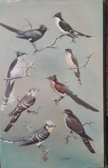 The Doves, Parrots, Louries and Cuckoos of Southern Africa - M.K. Rowan