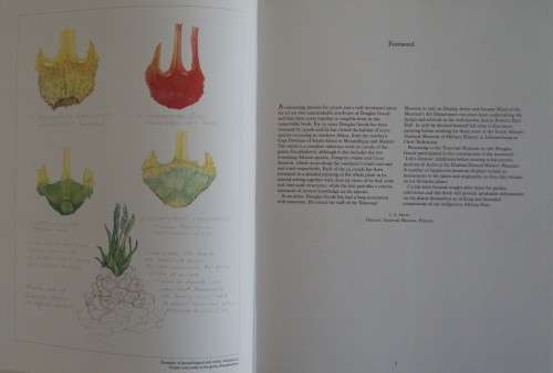 Cycads of Africa - Douglas Goode