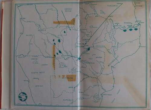 Terrorism - The First Full Account In Detail of Terrorism and Insurgency in Southern Africa
