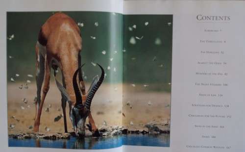 The Kalahari Survival in a Thirstland Wilderness Nigel Dennis | Michael Knight | Peter Joyce