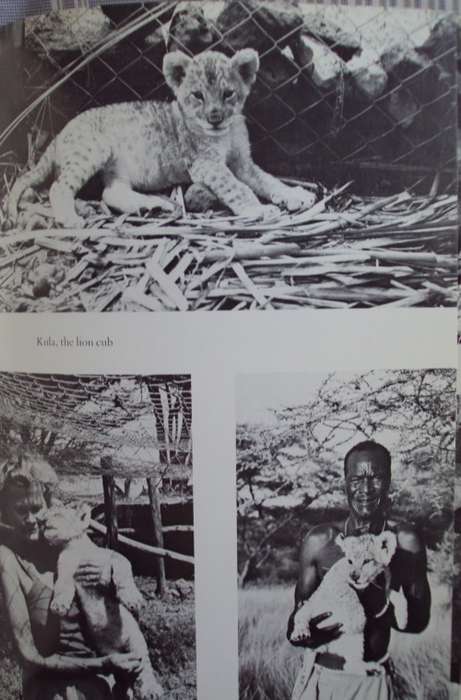 Queen of Shaba The Story of an African Leopard - Joy Adamson