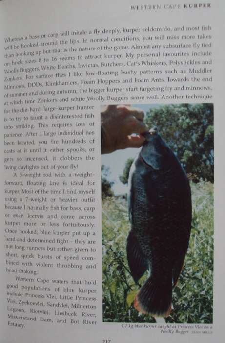 The Nedbank Guide to Fly Fishing in Southern Africa - Fourth Edition
