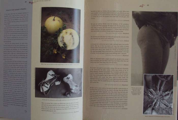 Voices of the San : Living in Southern Africa Today Willemien Le Roux & Allison White