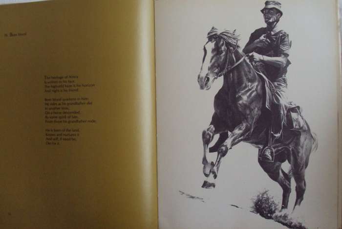 Images of War  Peter Badcock